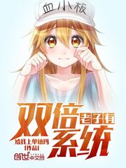 ������˫��ϵͳ