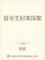 ����������̽��