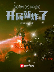 ����֮ϵͳ���־�ը��