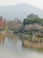 ������İ�