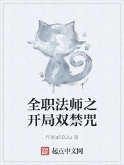 ȫְ��ʦ֮����˫����