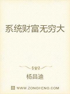 ϵͳ�Ƹ������