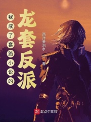 �ҳ�����·С˵�����׷���