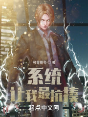 ϵͳ�������