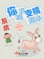 ϵͳ�������֧������