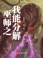 ��ʦ֮���ֽܷ�