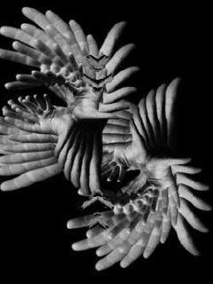 ĩ���µĵ���