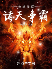 ȫ���٣���������