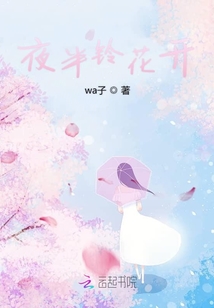 ҹ���廨��