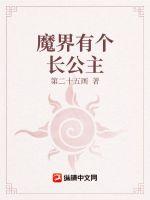 ħ���и�������