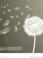 ���ħͷ������