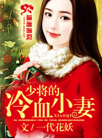 �ٽ�����ѪС��