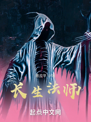 ������ʦ