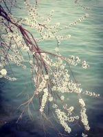 ����������������