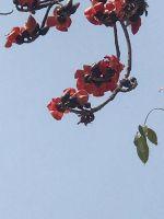 ������ҽ������