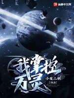 ���ƿ�����