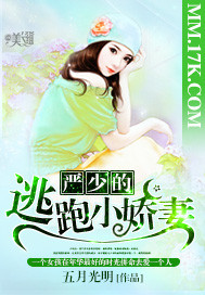 ���ٵ�����С����