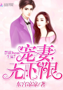 ����Boss���ͣ����ޣ�������