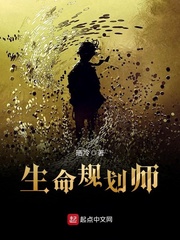 �����滮ʦ