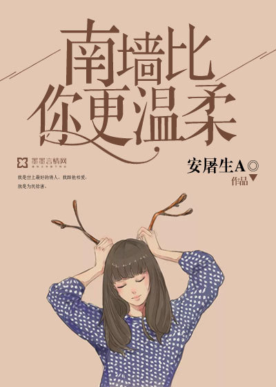 ��ǽ���������