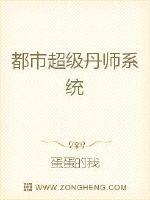 ���г�����ʦϵͳ