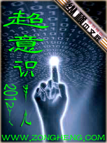 ����ʶ����