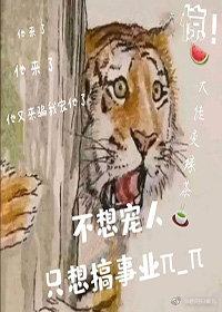 ��������װ��ƭ�ҳ���