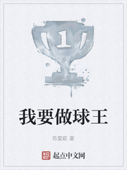 ��Ҫ������