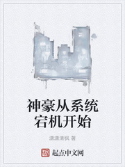 �����ϵͳ崻���ʼ