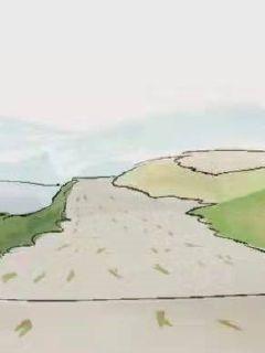 ��Բ����