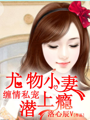 ����˽�裺����С��Ǳ���